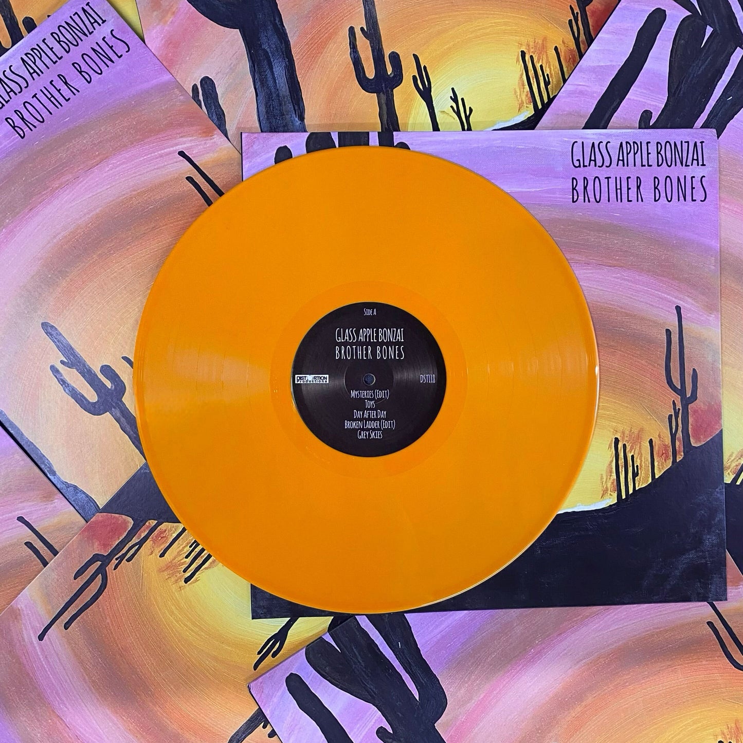 12" Vinyl Records - Orange