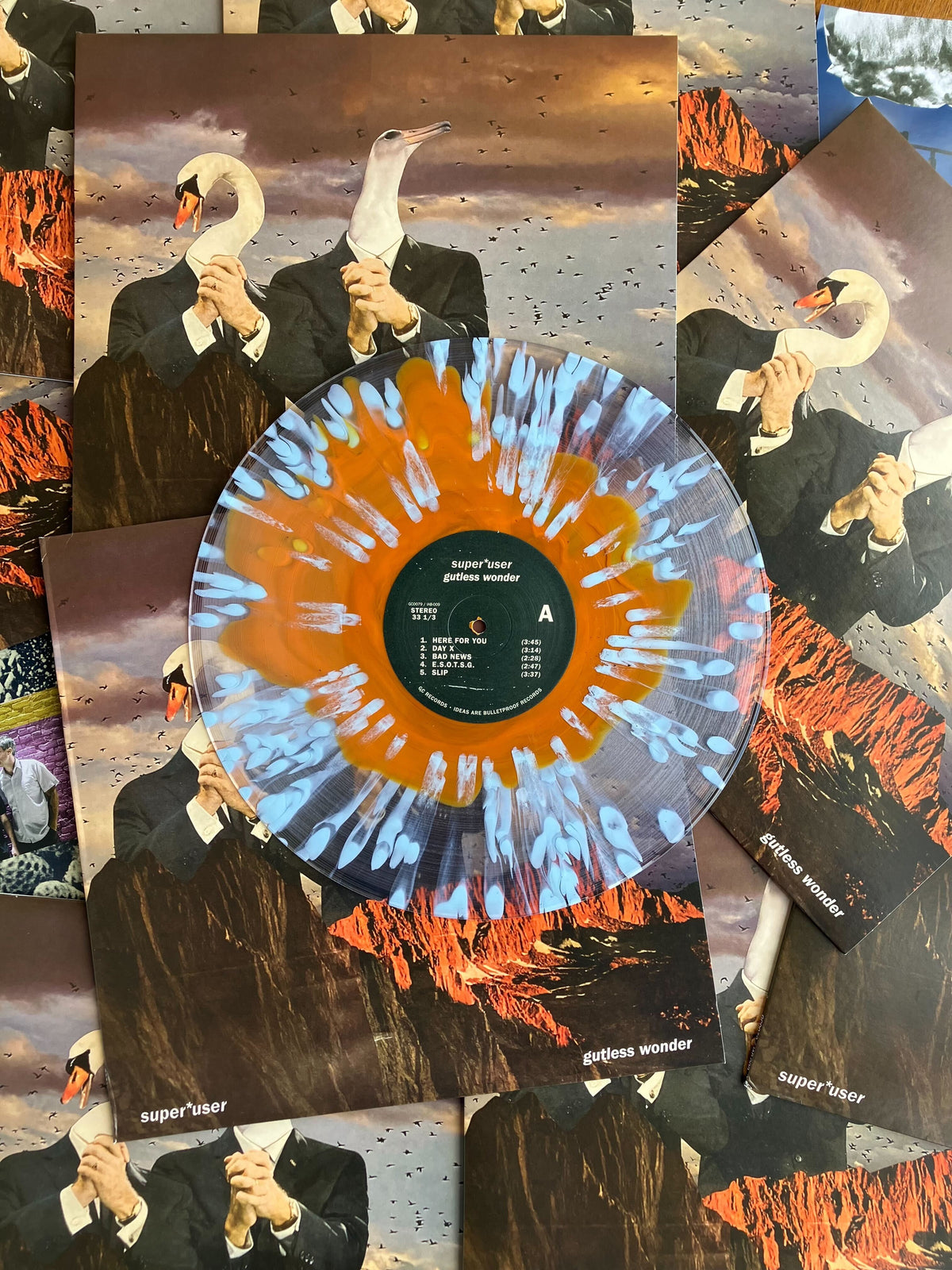 Vinyl record with artistic cover featuring a swan person, surrounded by matching album covers.