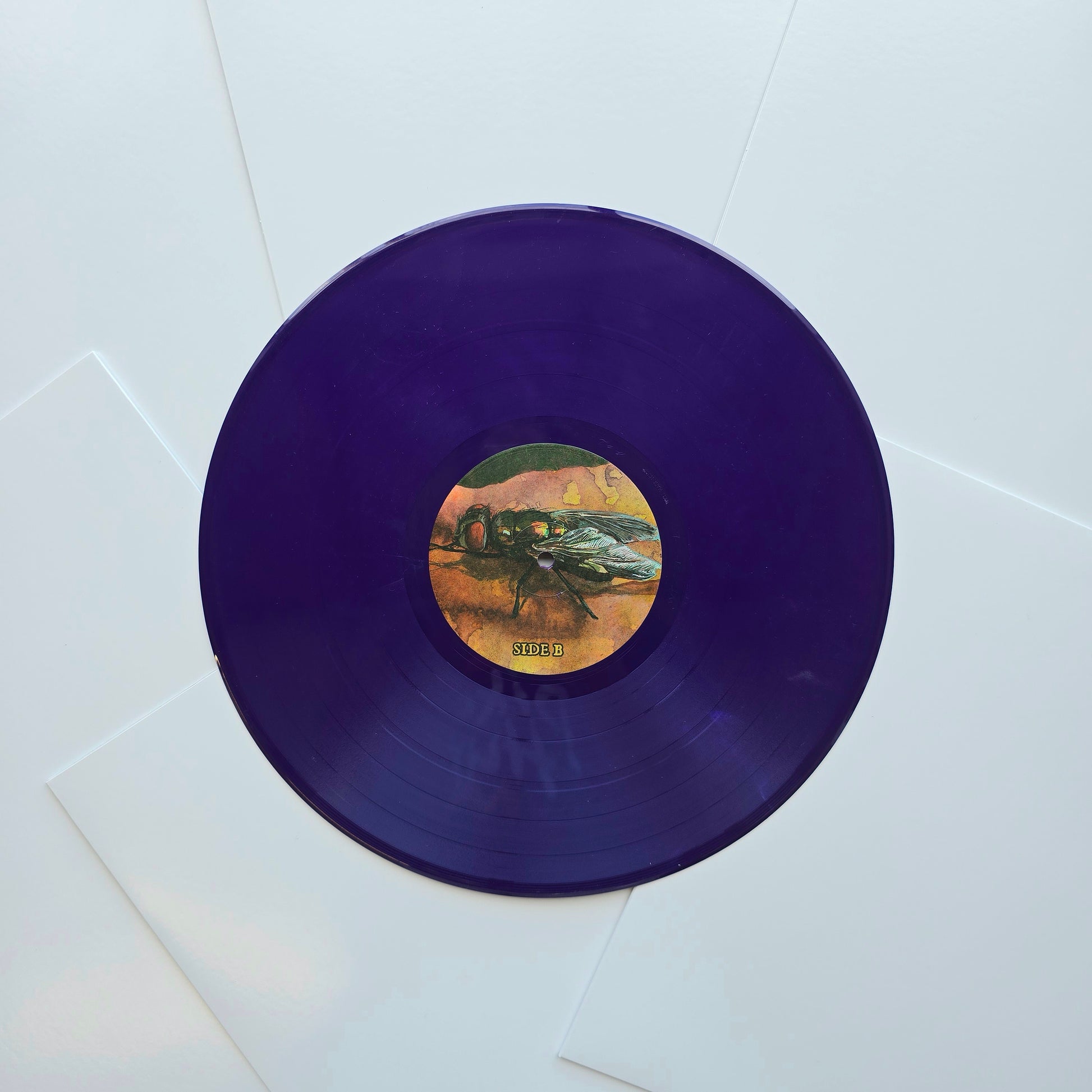 Purple vinyl record with a label on white sleeves