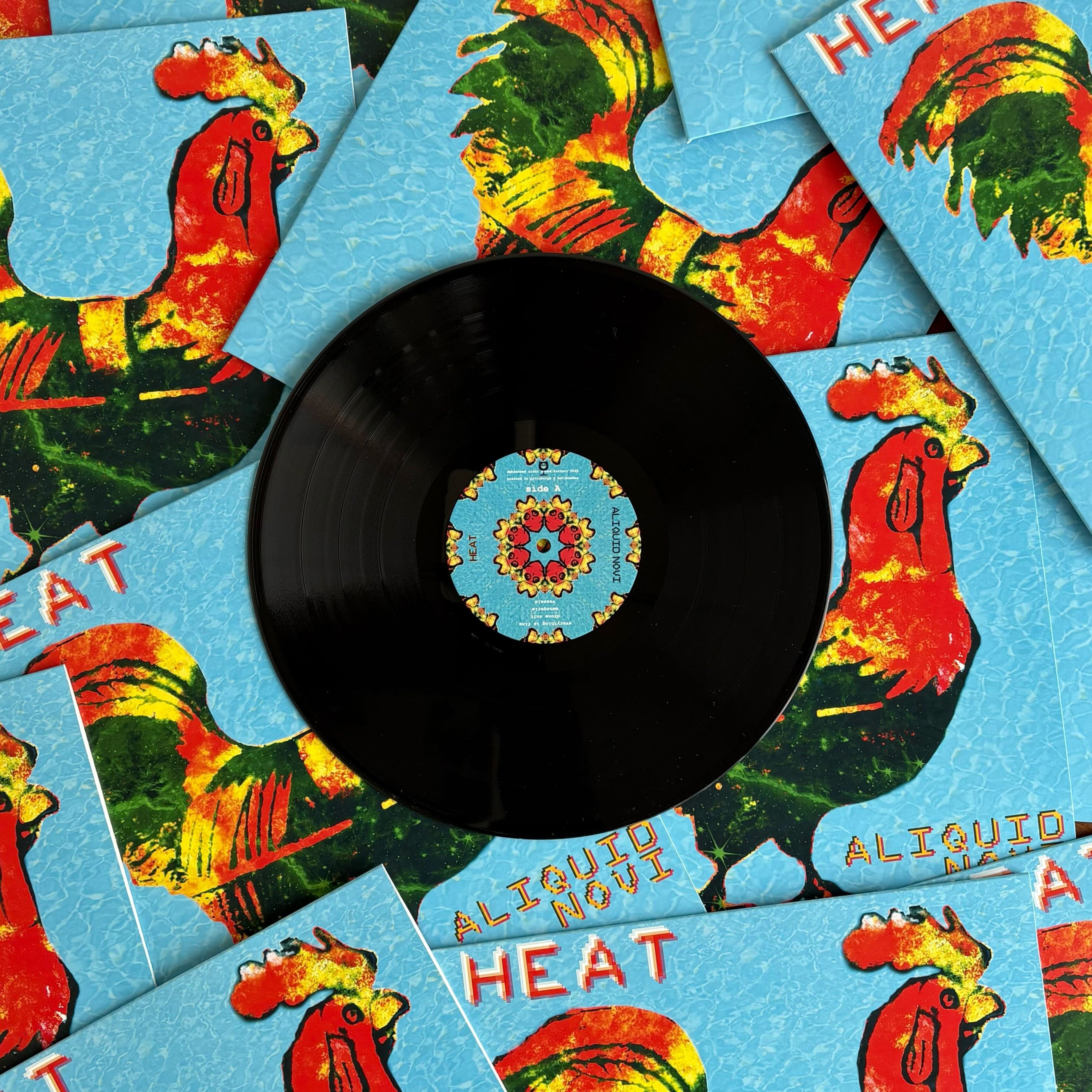 Custom Vinyl Records - Black – Hellbender Vinyl